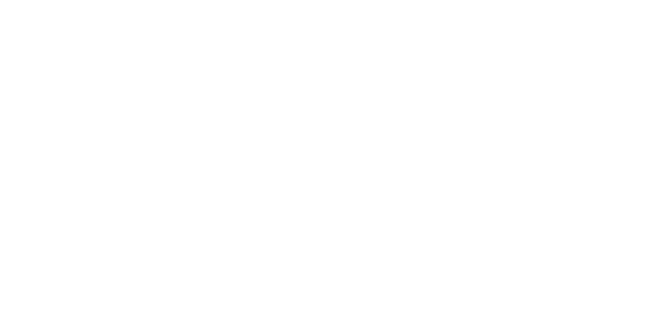 세이프 페이 logo